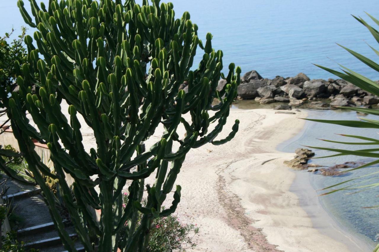 Villa Laura - Sul Mare Pizzo Kültér fotó